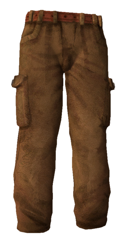 Cargo Pants.png