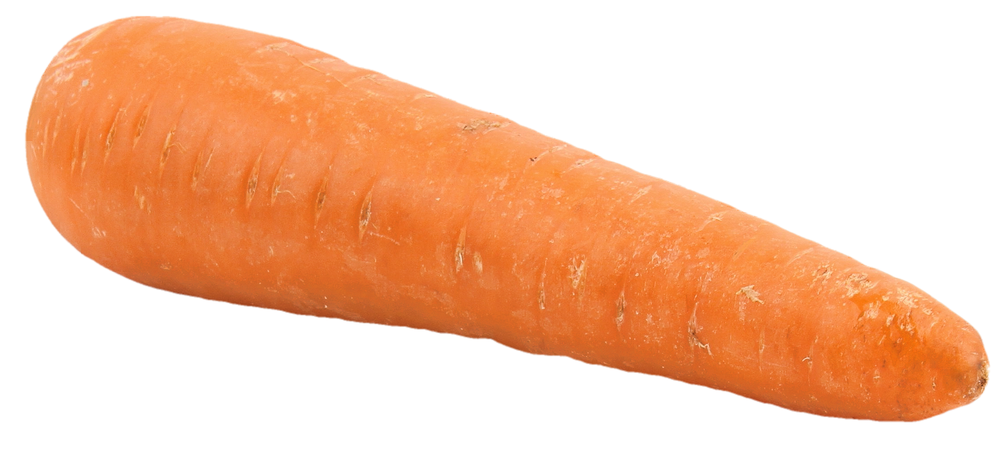 Carrot PNG - 19915