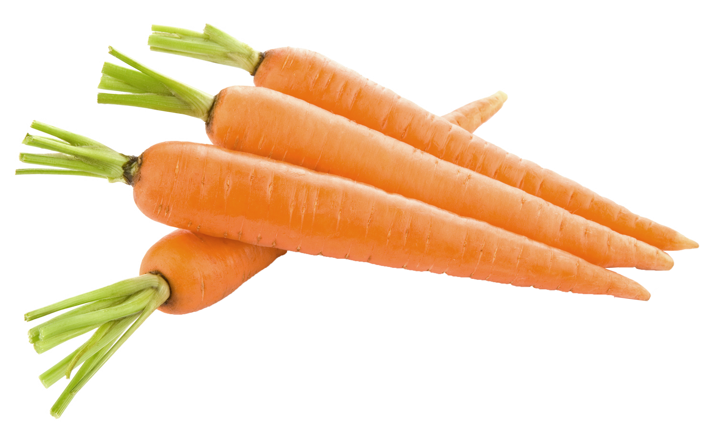 Download Big Carrot PNG Image