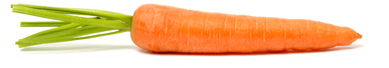 Carrot PNG - 23433