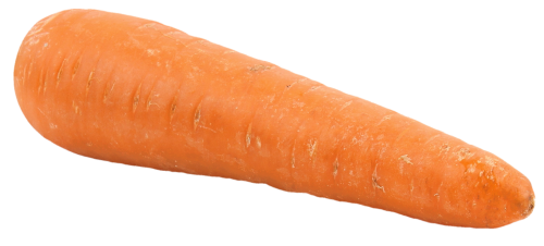 Carrot PNG - 23437