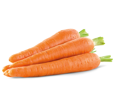 Carrot PNG - 23435