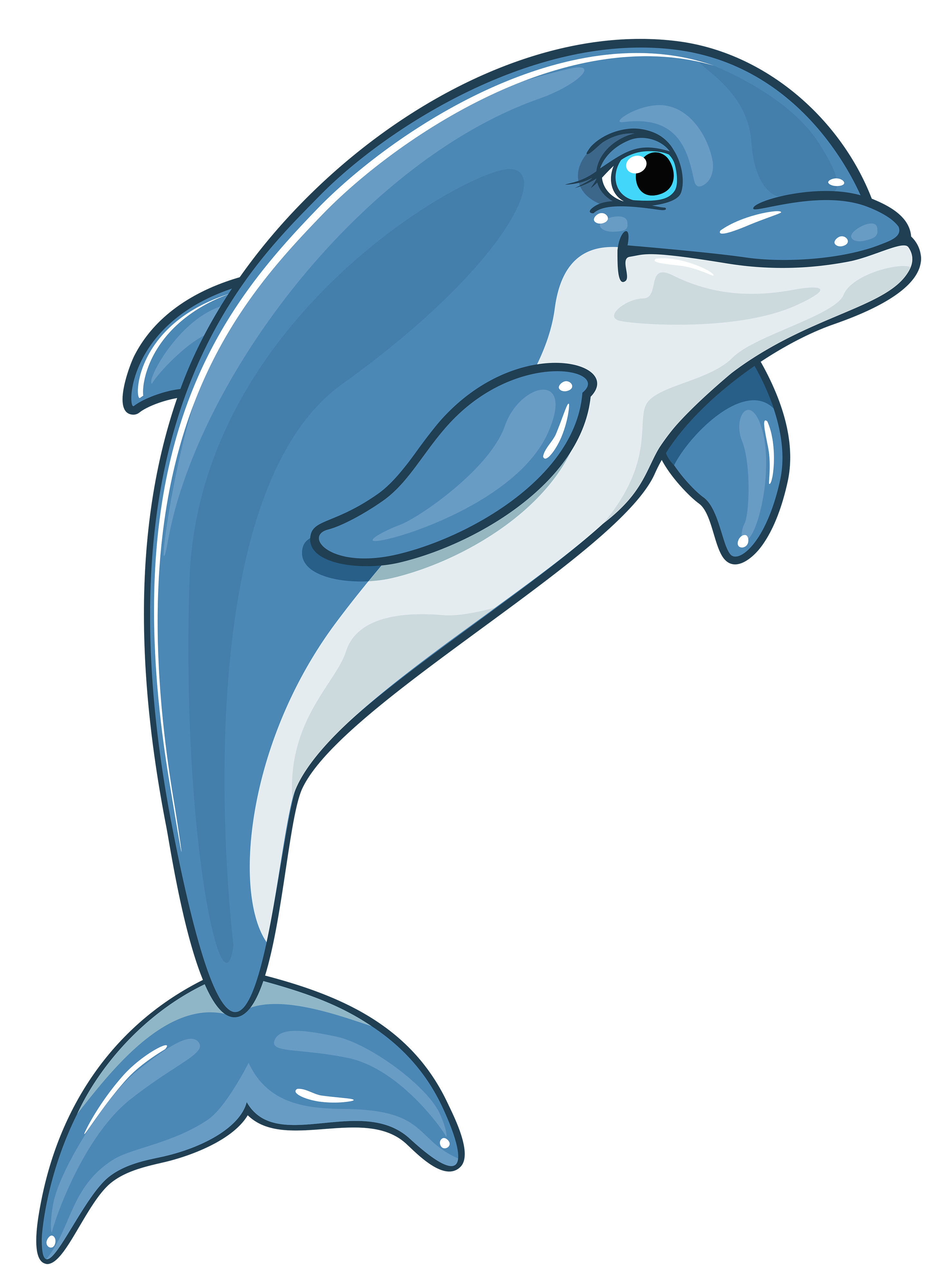 Cartoon Dolphin PNG HD - 124595