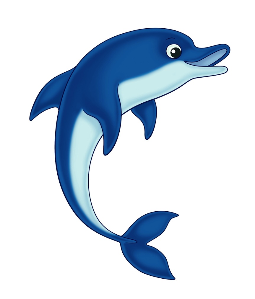 Dolphin Clip Art Black and Wh