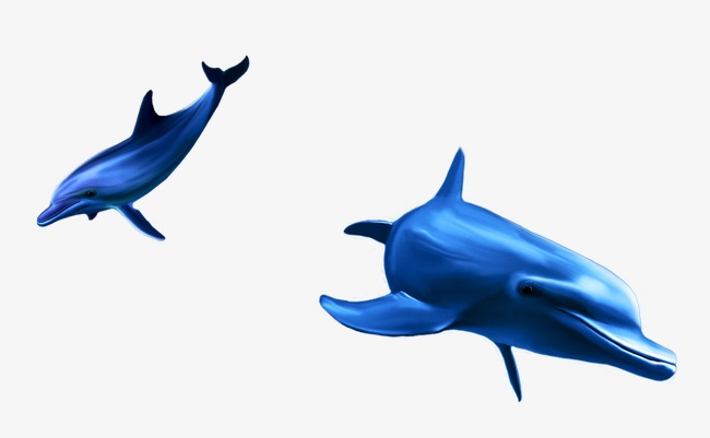 Cartoon Dolphin PNG HD - 124606