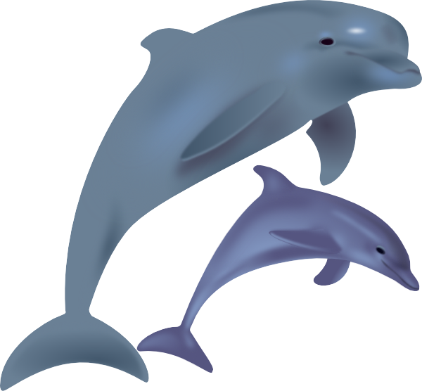 Cartoon Dolphin PNG HD - 124602