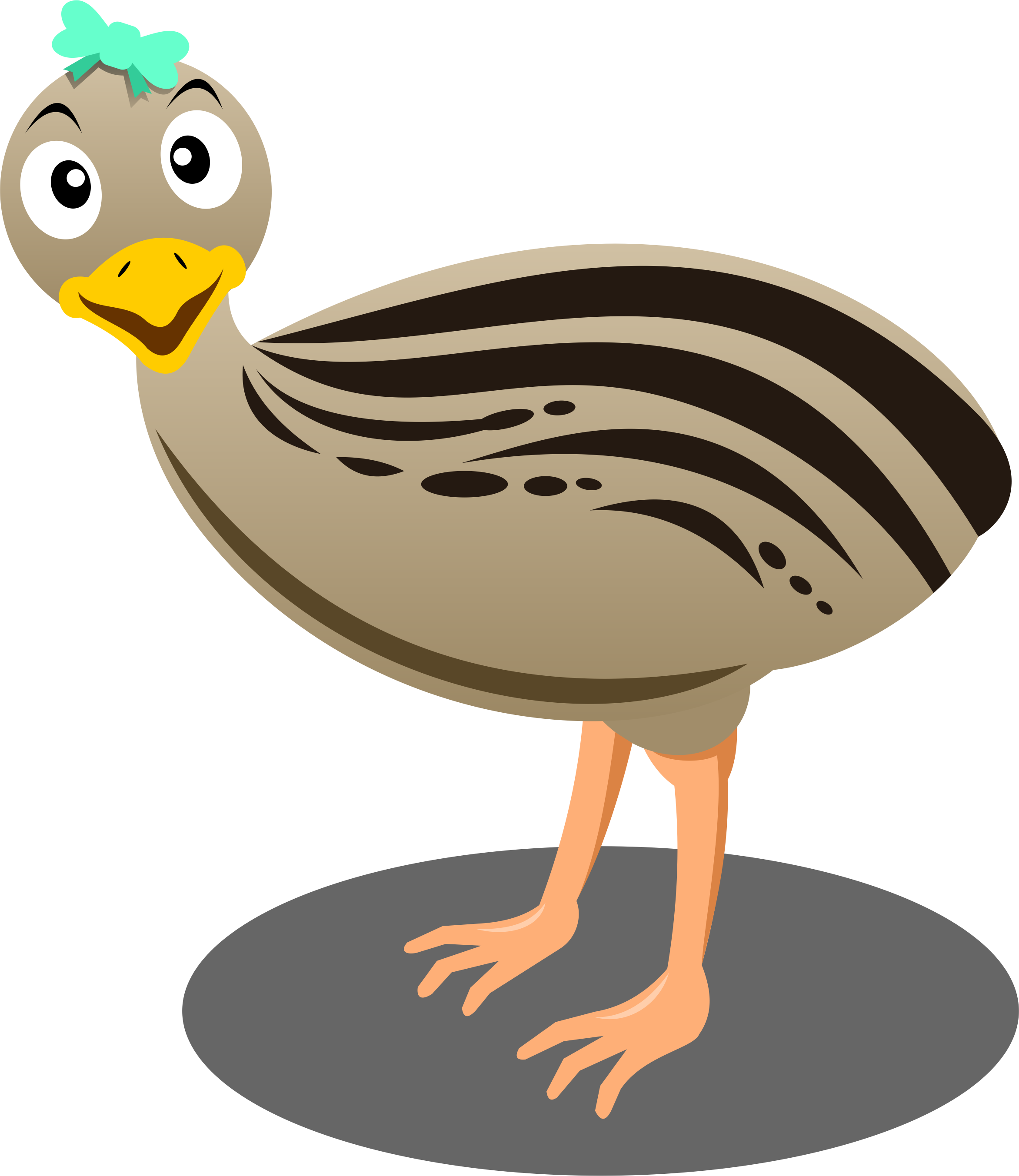 Cartoon Emu PNG - 64415