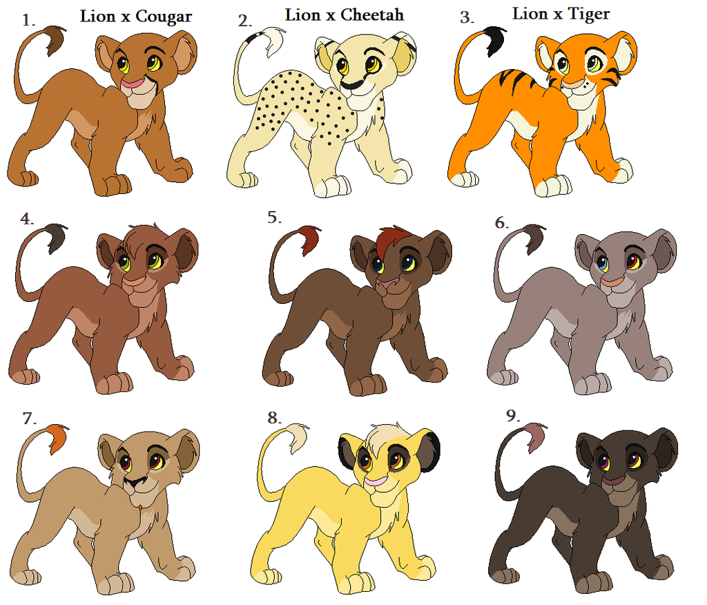 Cartoon Lion Cub PNG - 161383