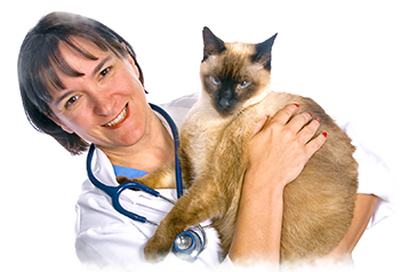 Miami Veterinary Specialists: