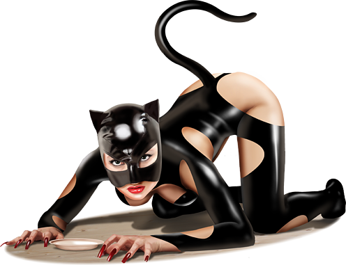 Catwoman PNG - 10427
