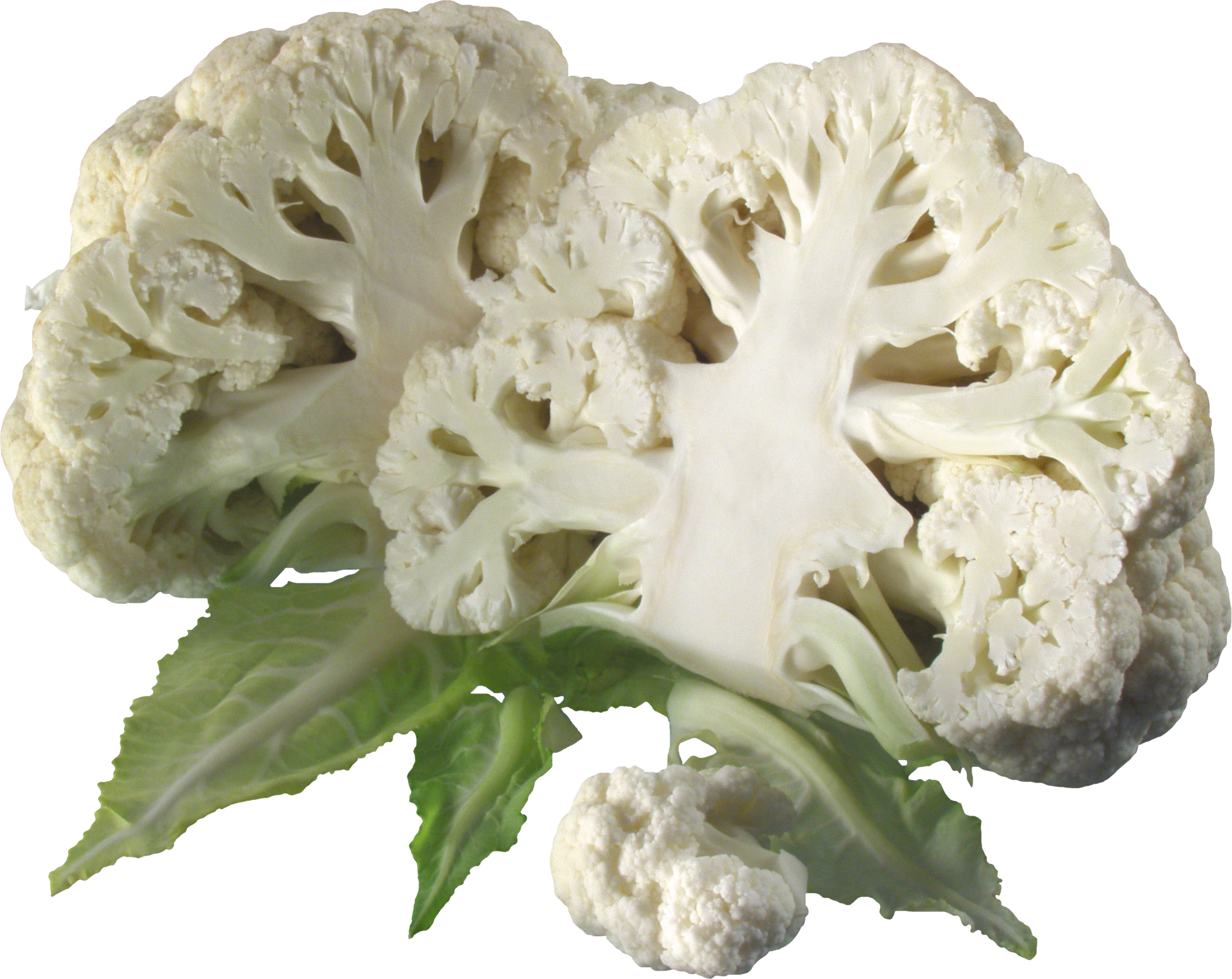 Cauliflower HD PNG - 96544