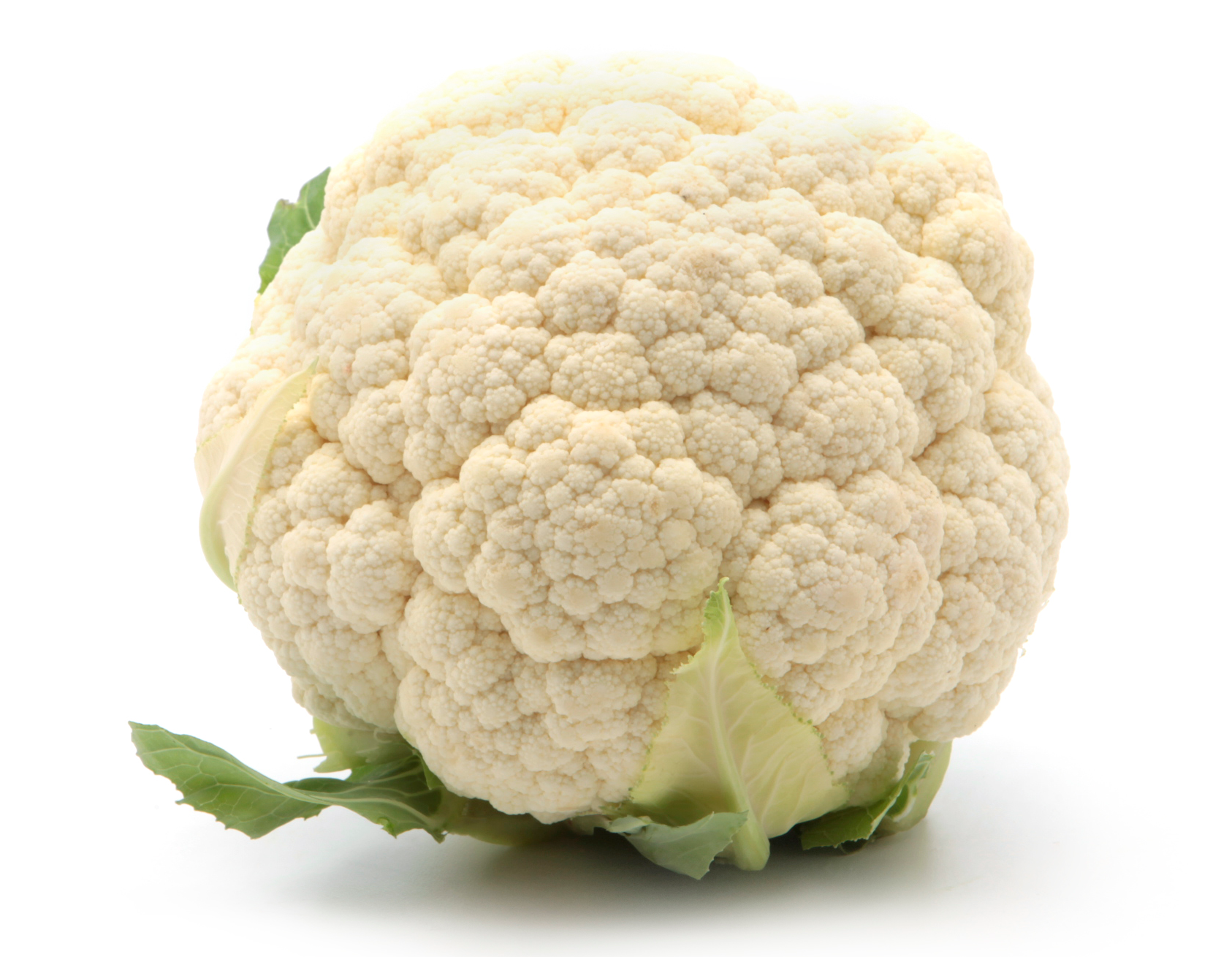 Cauliflower HD PNG - 96546