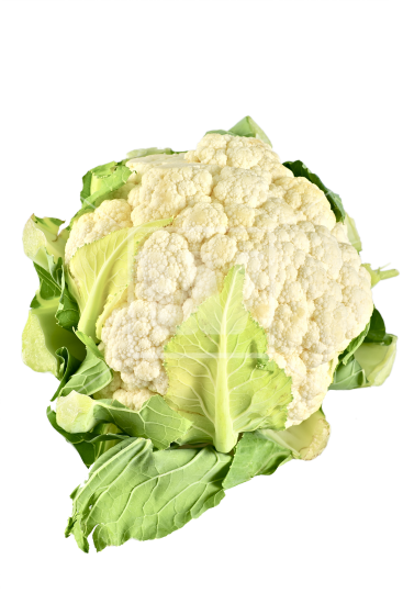 Cauliflower HD PNG - 96547