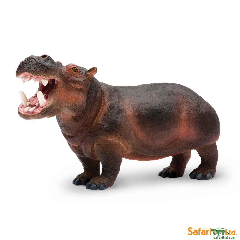 Hippopotamus PNG - 5121