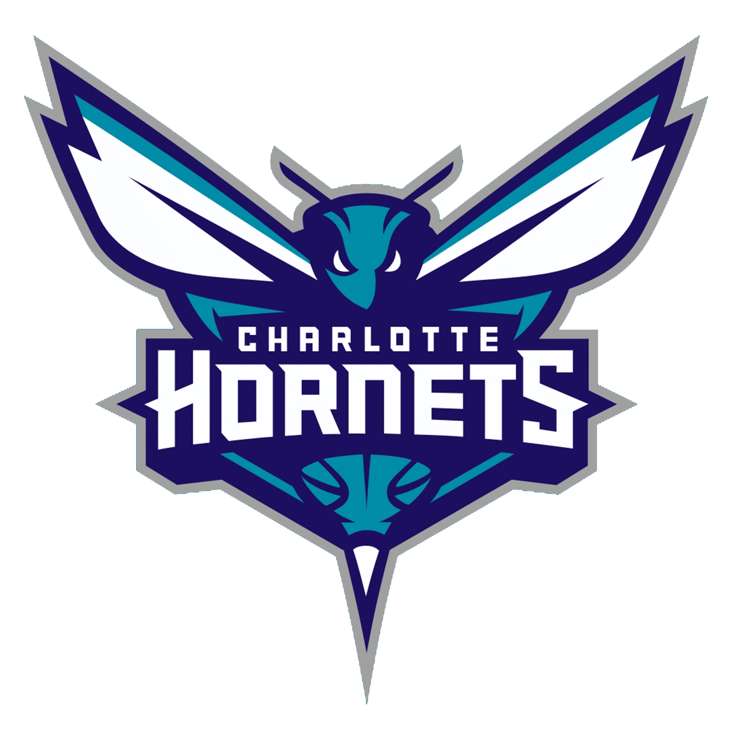 New Charlotte Hornets logos f