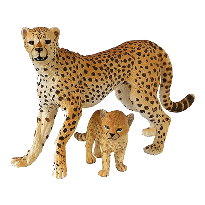 Cheetah PNG - 8567