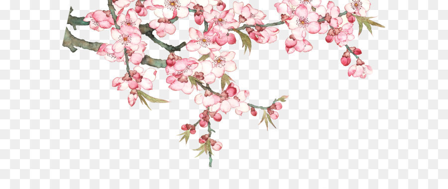 Cherry Blossom PNG HD - 149628