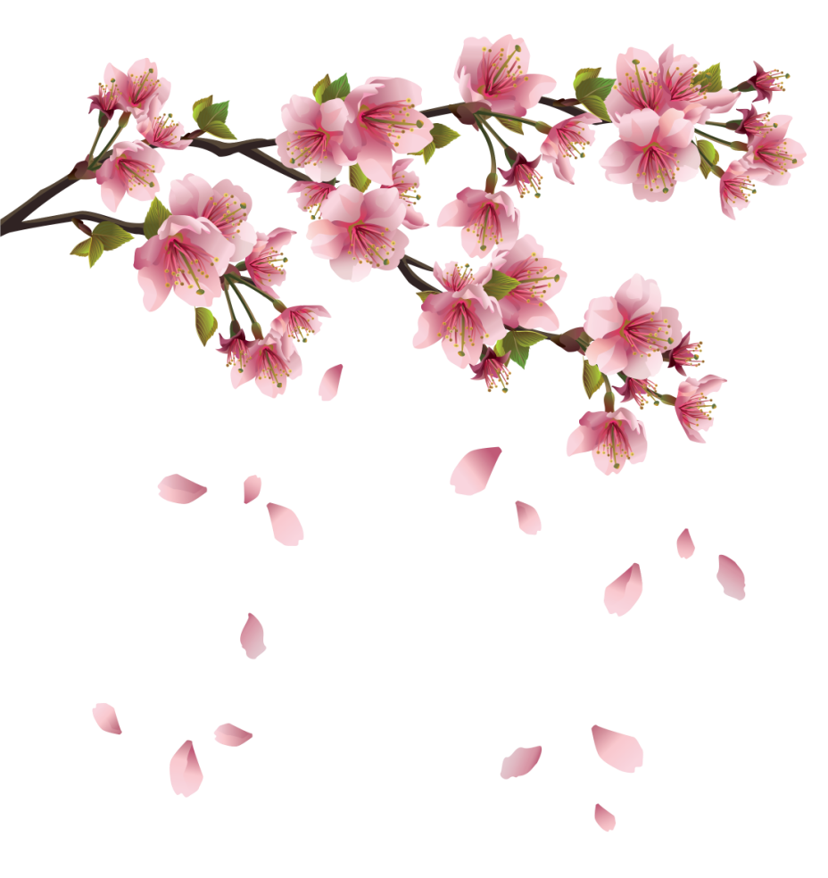 Sakura blossom pink - Japanes