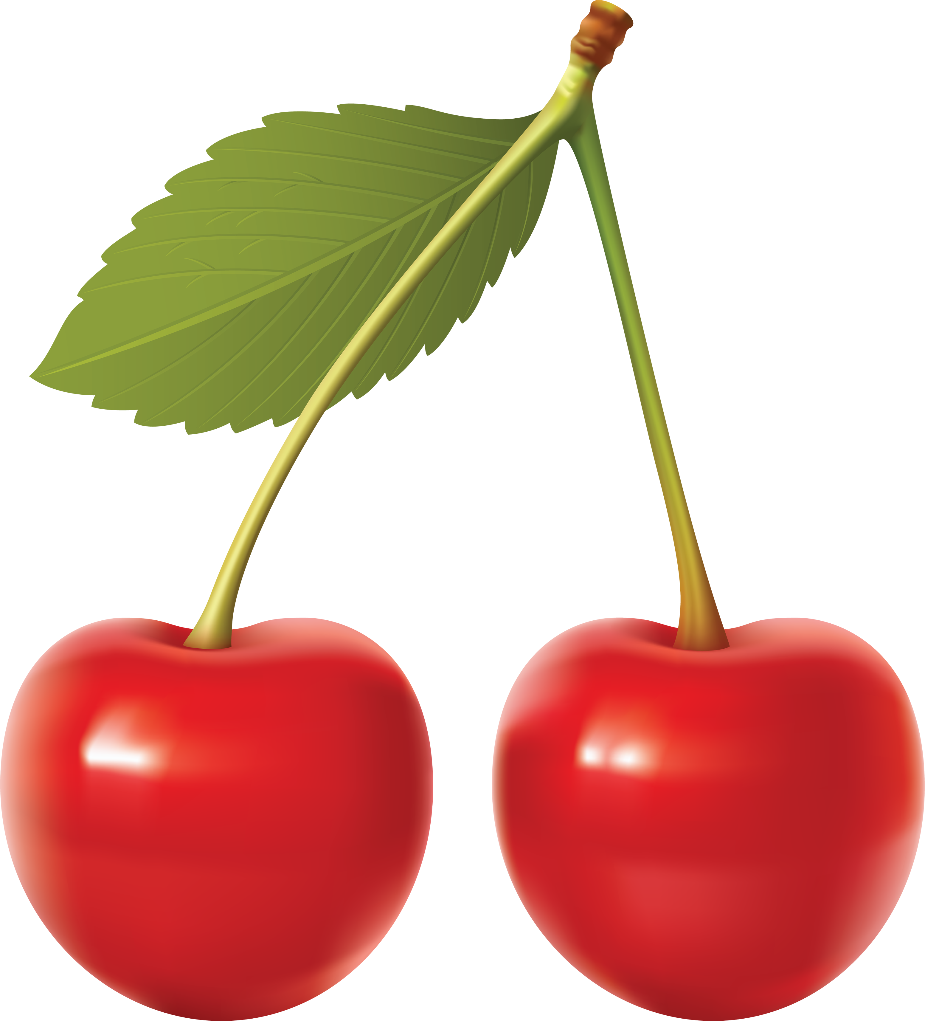 Cherries, Fruit, Red, Berry, 