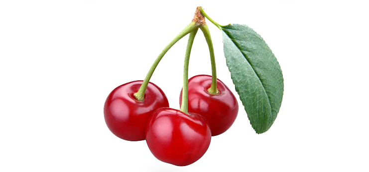 Cherry PNG Clipart