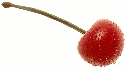 Cherry HD PNG - 91092