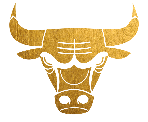 Chicago Bulls Logo PNG - 180247