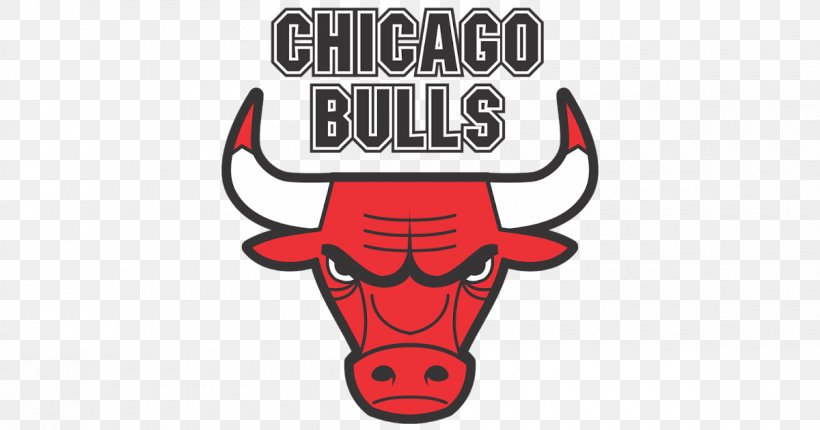 Chicago Bulls Logo Transparen