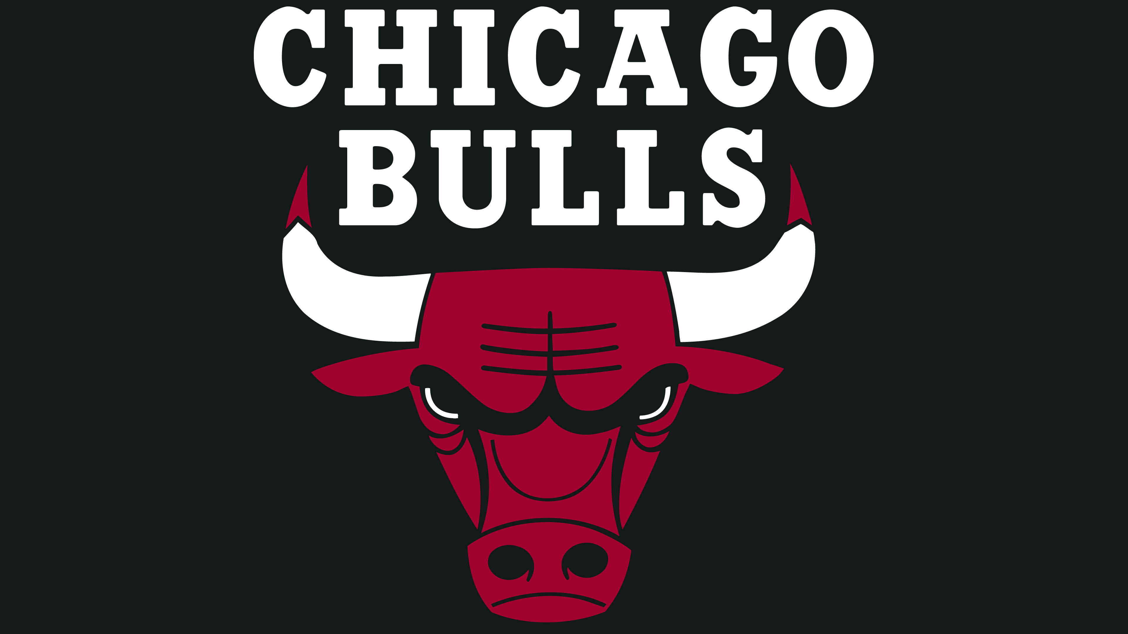 Chicago Bulls Logo PNG - 180236