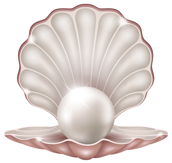Clams PNG Transparent Picture