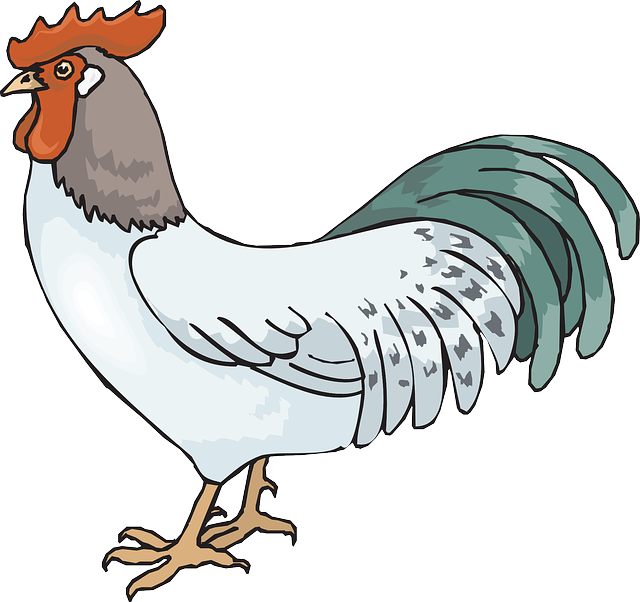 Free vector graphic: Rooster,