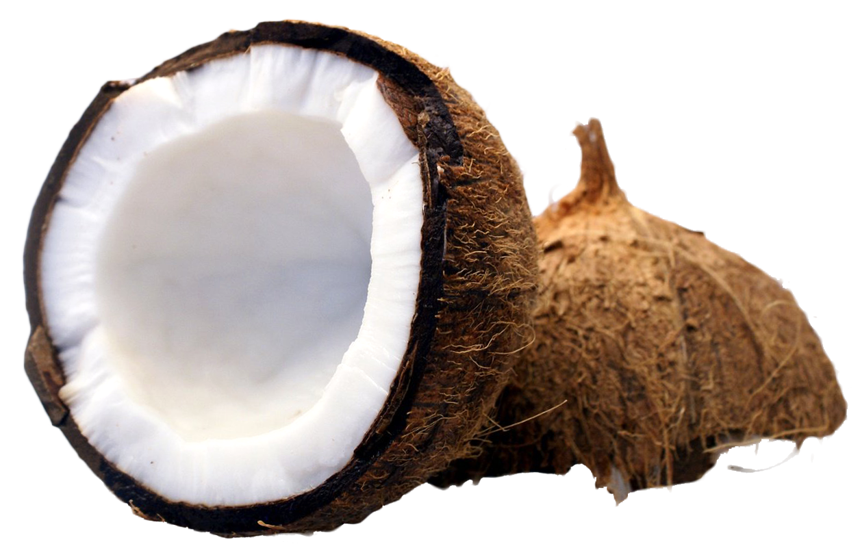 Coconut Cut in Half PNG image