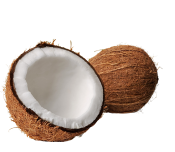 Coconut PNG - 98