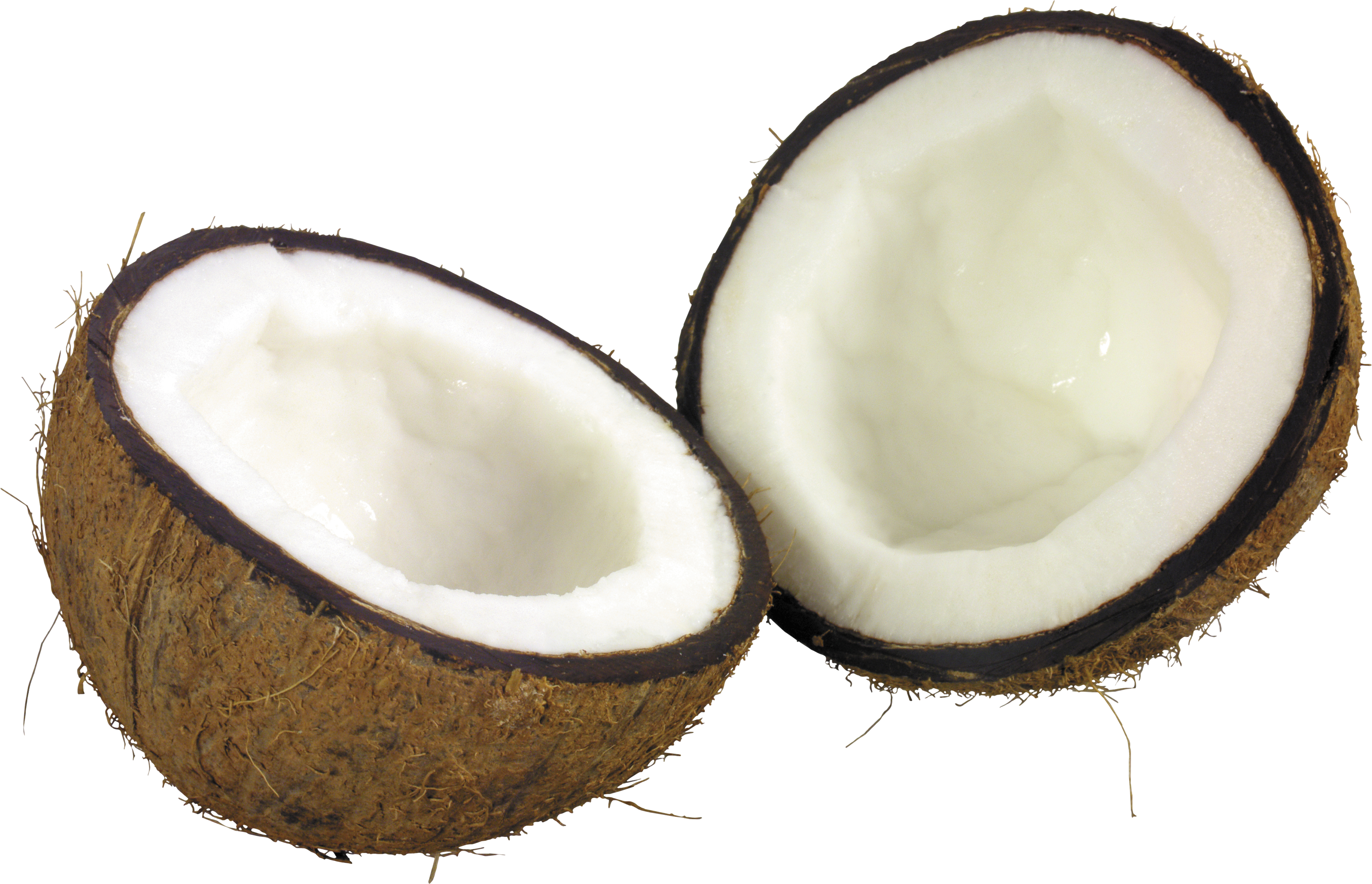 Coconut Cut in Half PNG image