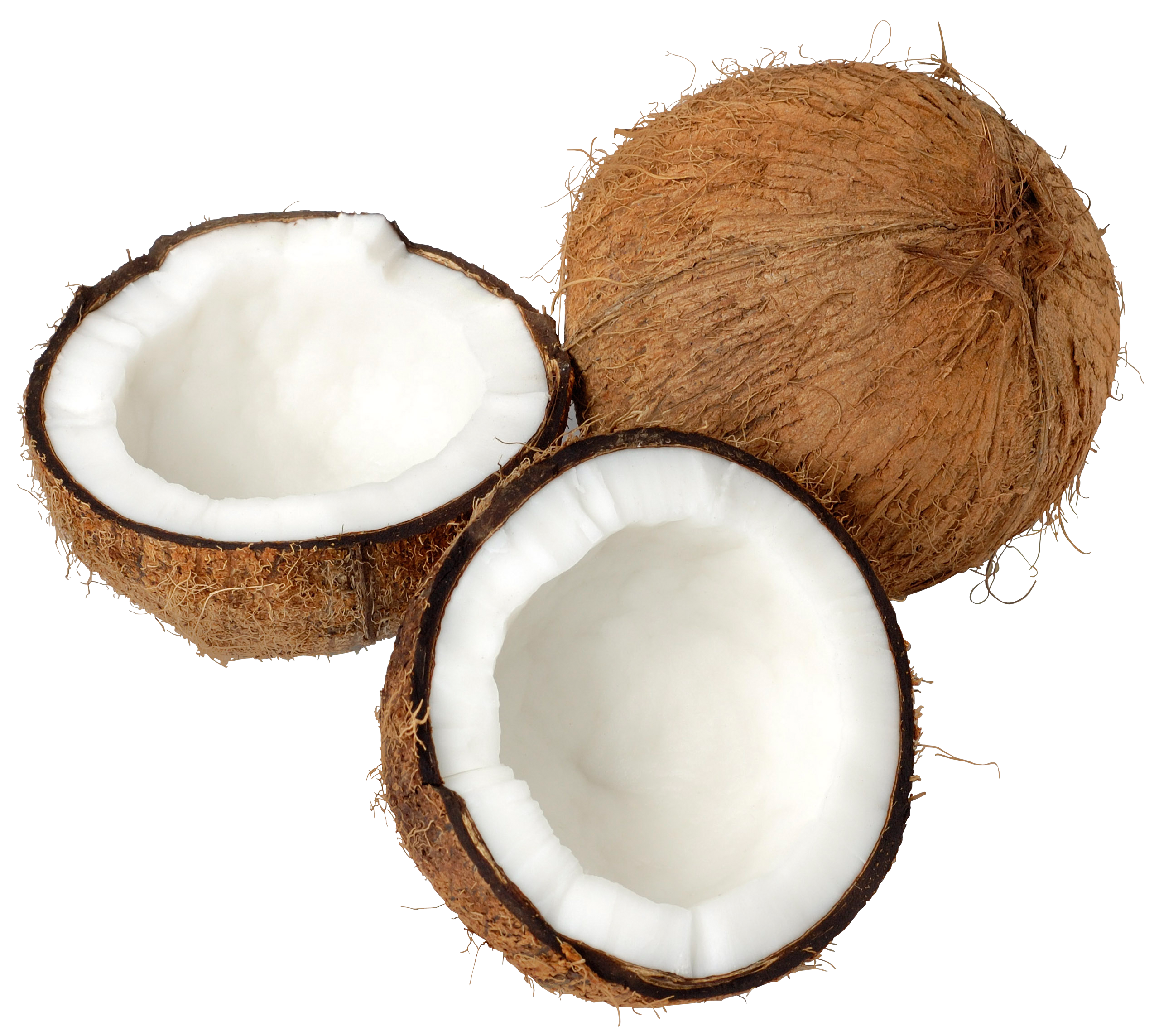Coconut Png Picture PNG Image