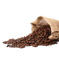 Coffee Beans PNG - 10683