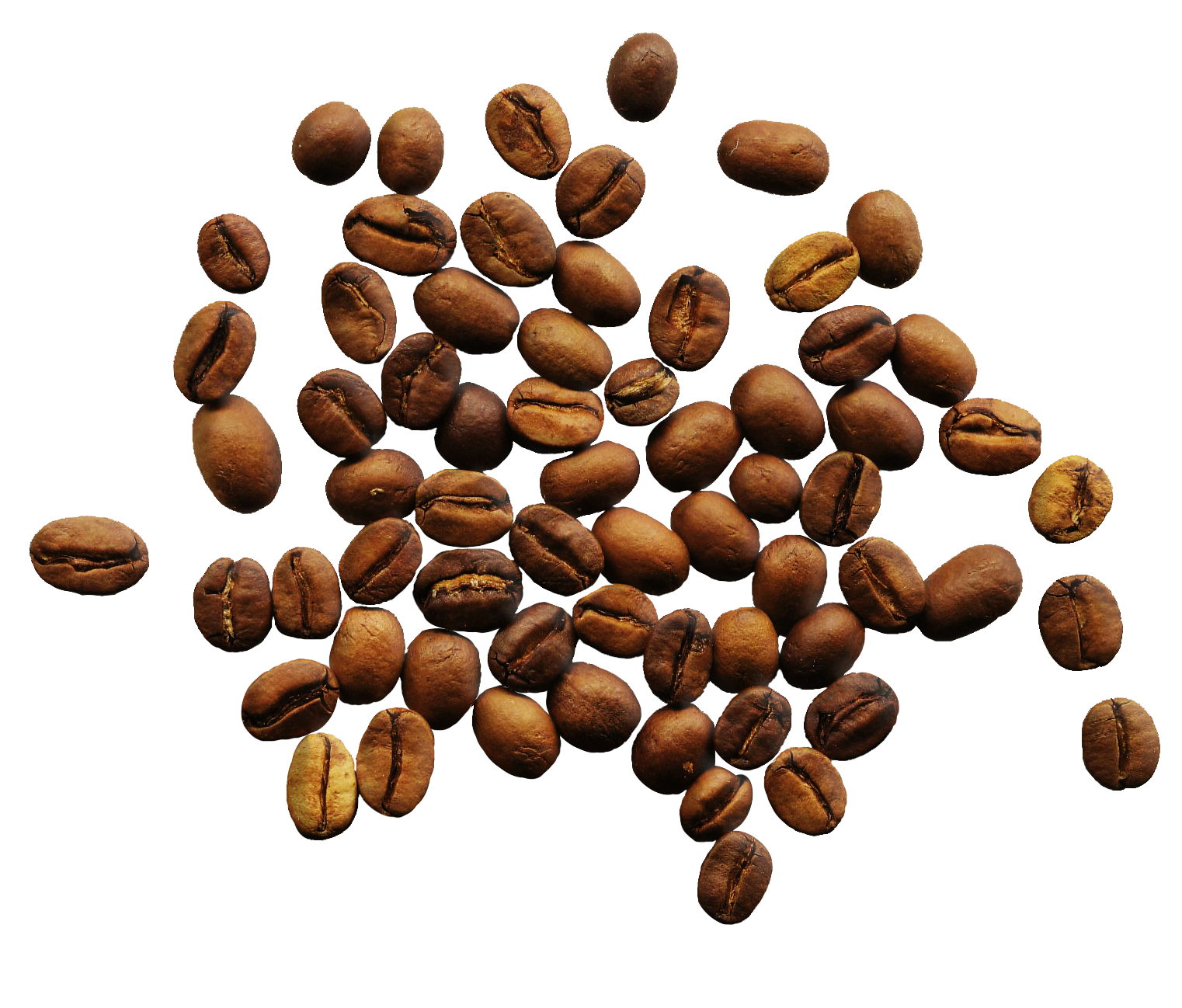 Coffee Beans PNG - 10681
