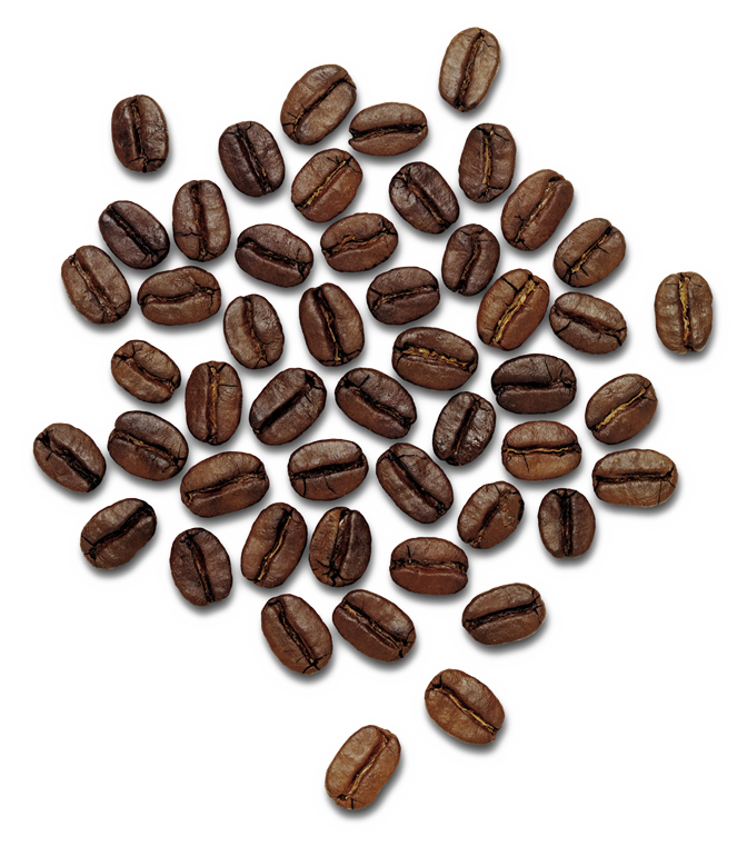 Coffee Beans PNG - 10680