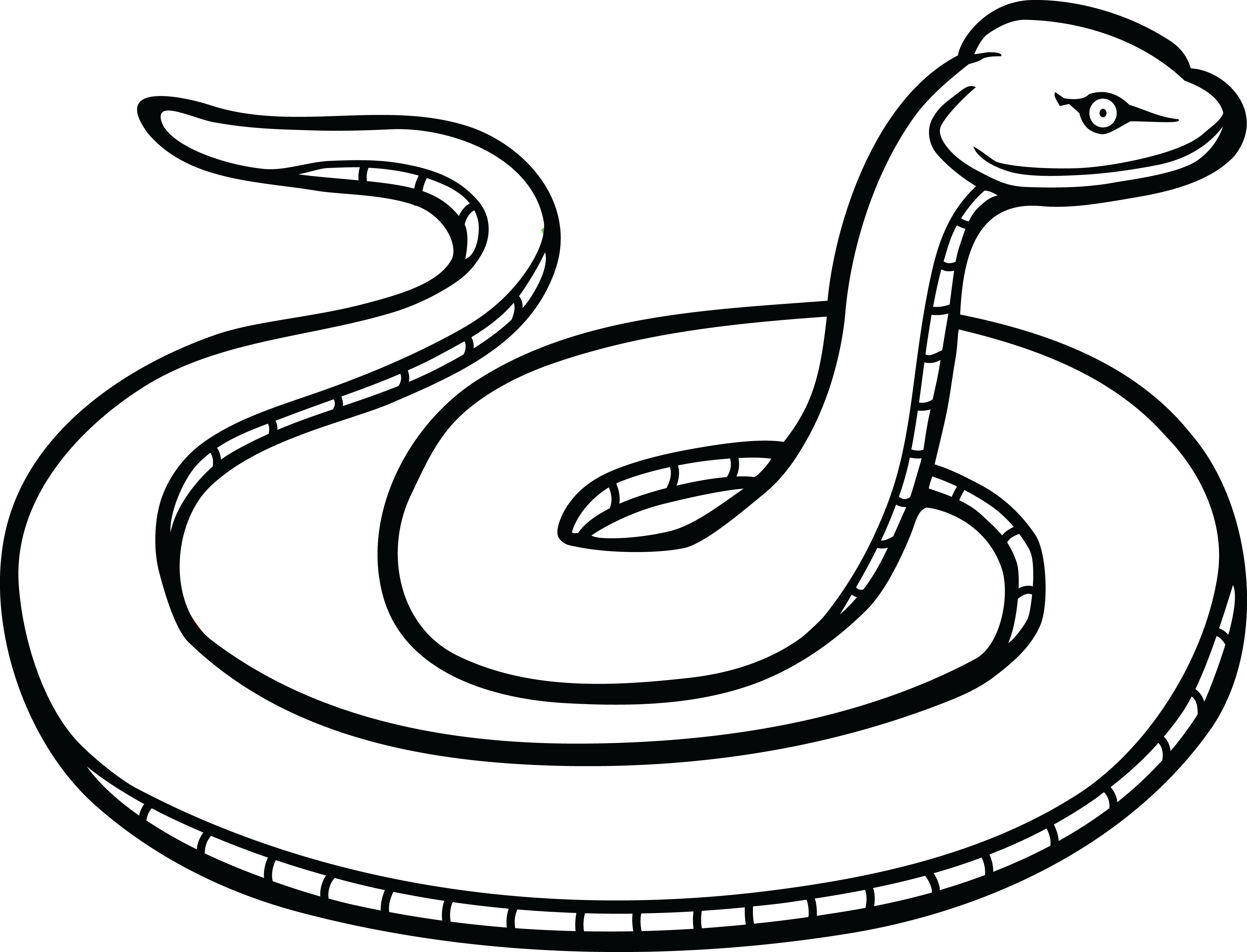 Coiled Snake PNG HD - 129055