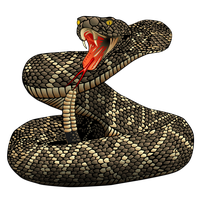 Coiled Snake PNG HD - 129051