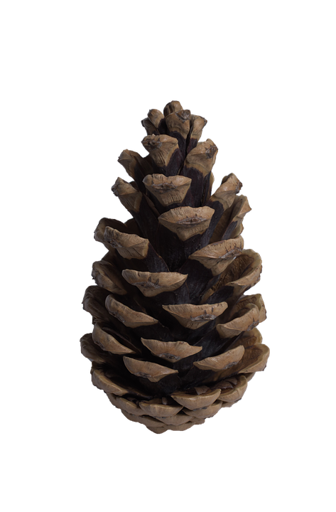 Cone HD PNG - 116825