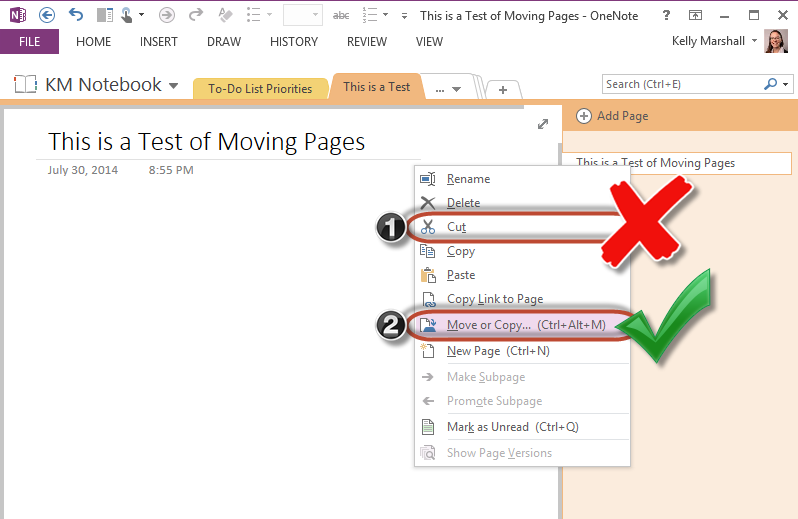 Create OneNote Subpages