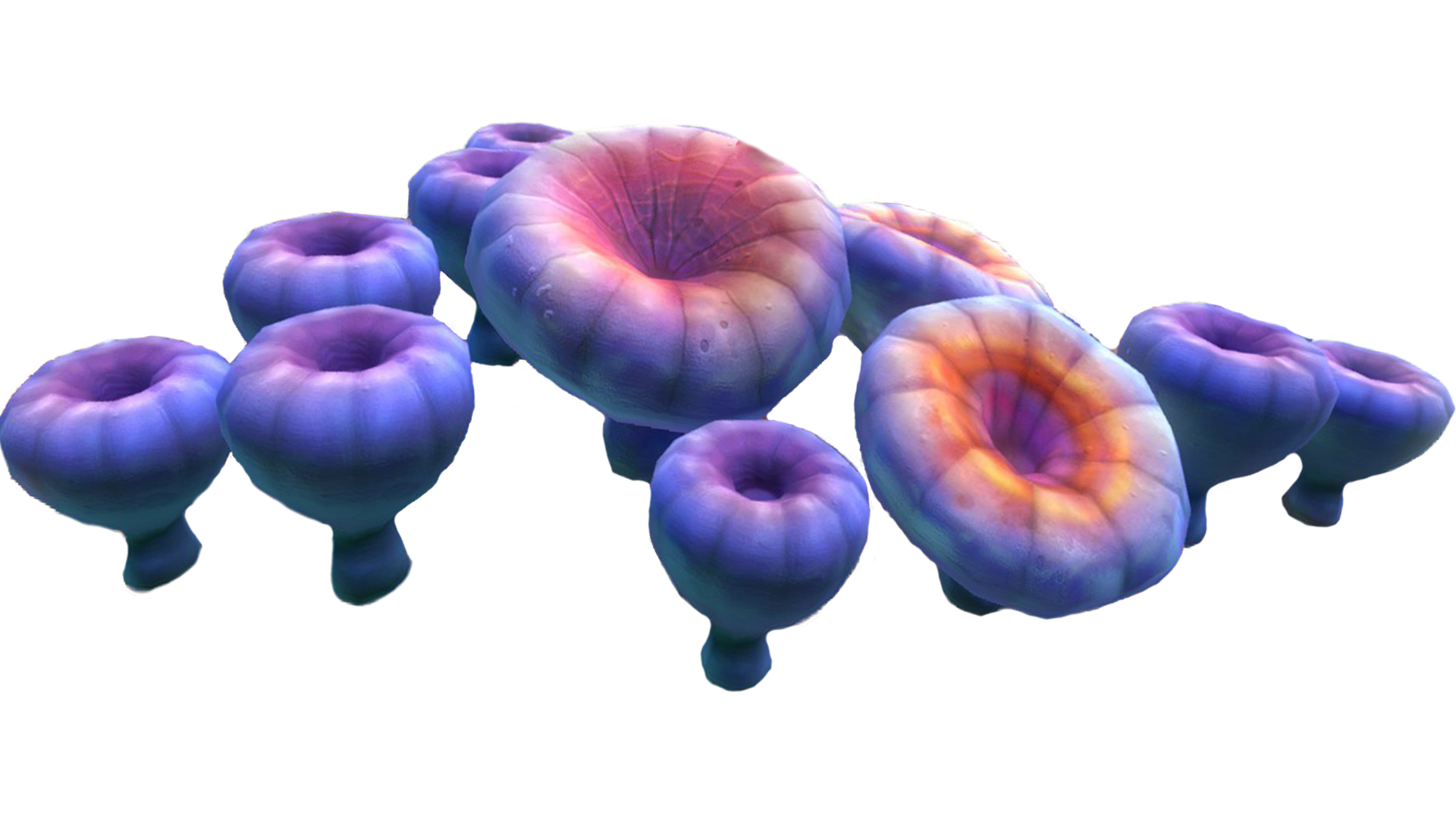 Coral PNG HD - 120639