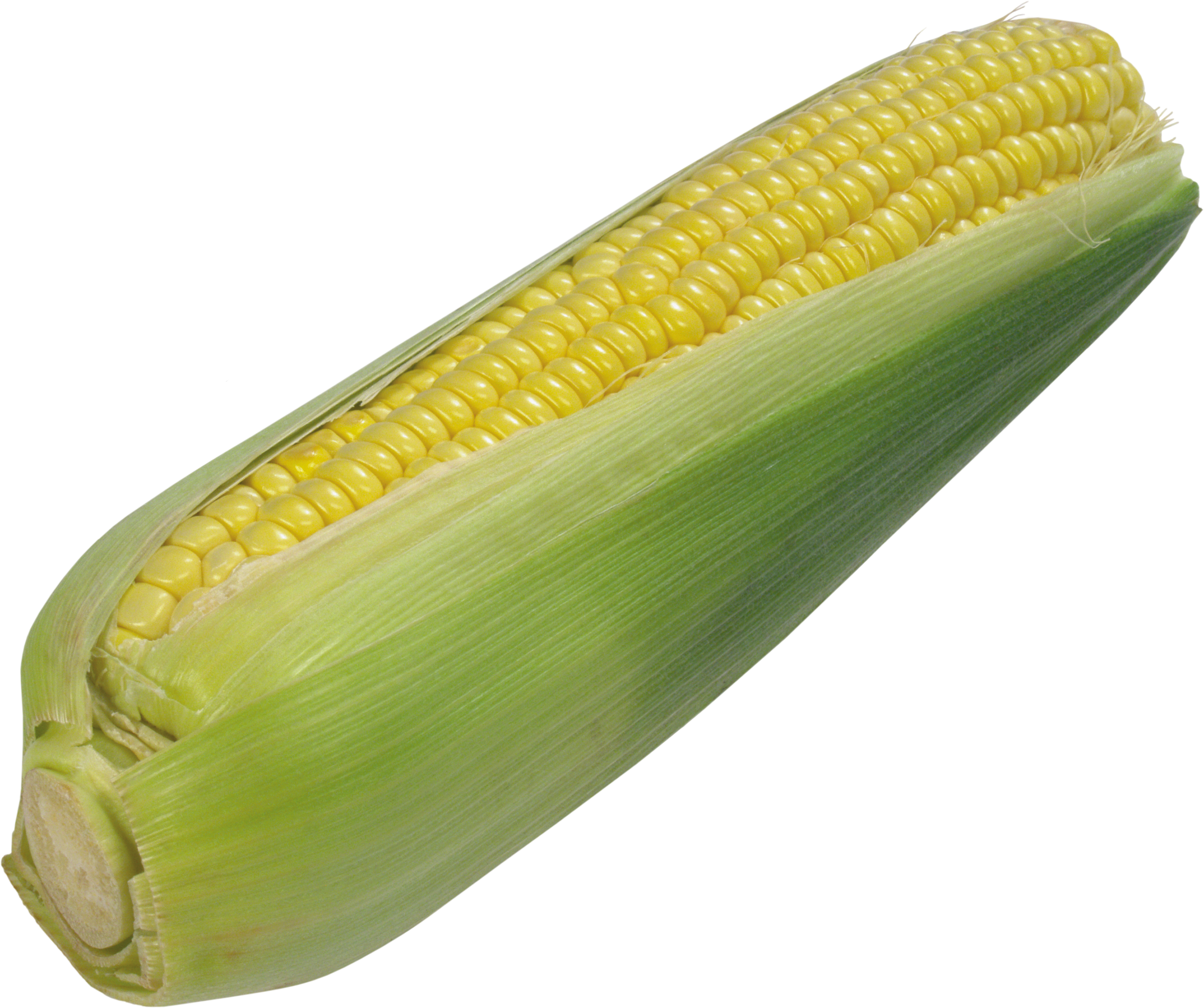 Corn HD PNG - 91288