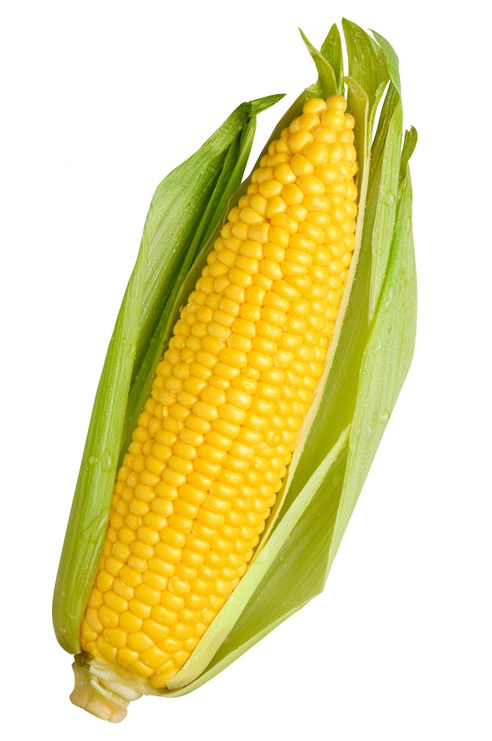 Corn HD PNG - 91283