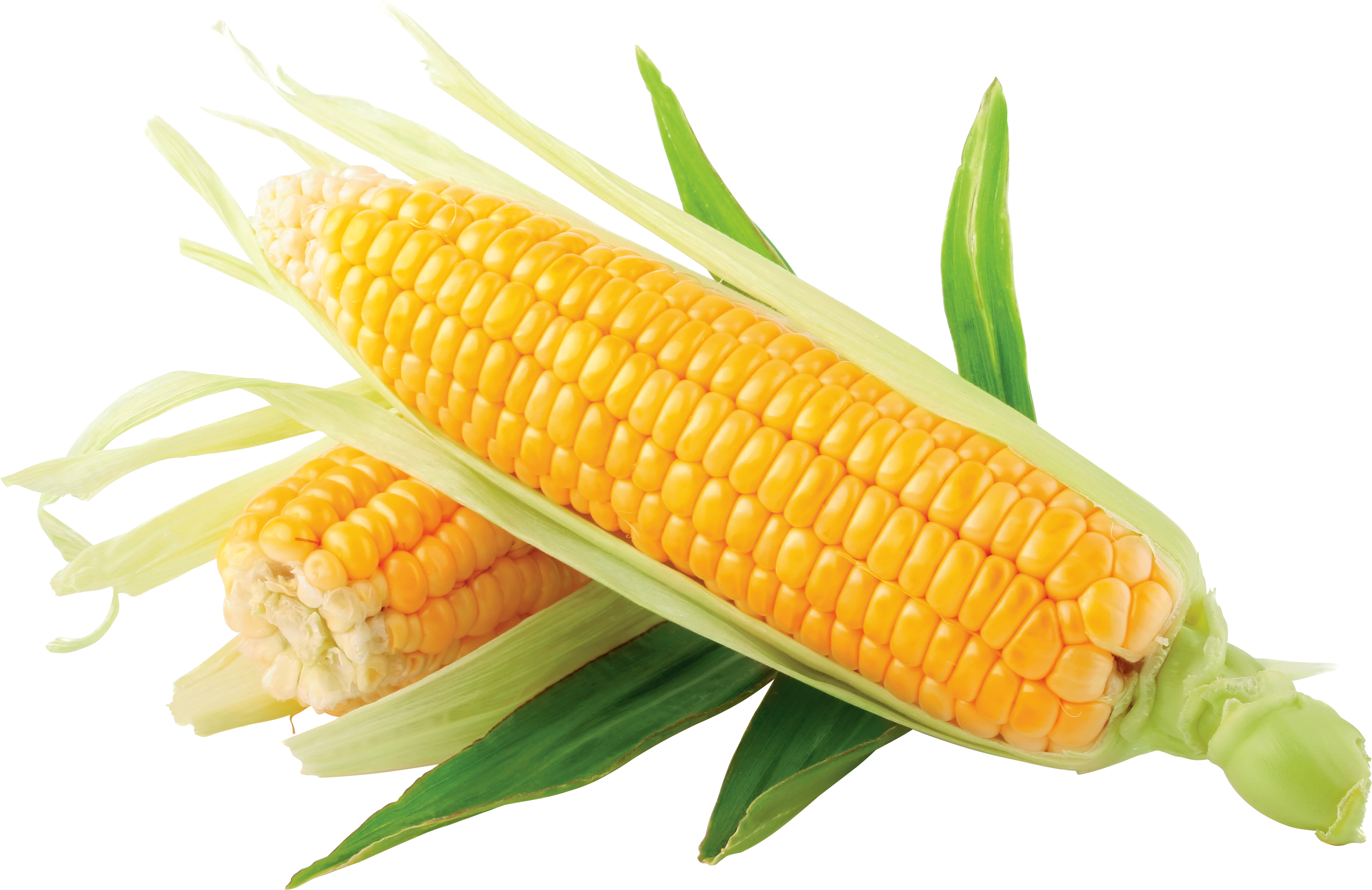Sweet Corn PNG Transparent Im