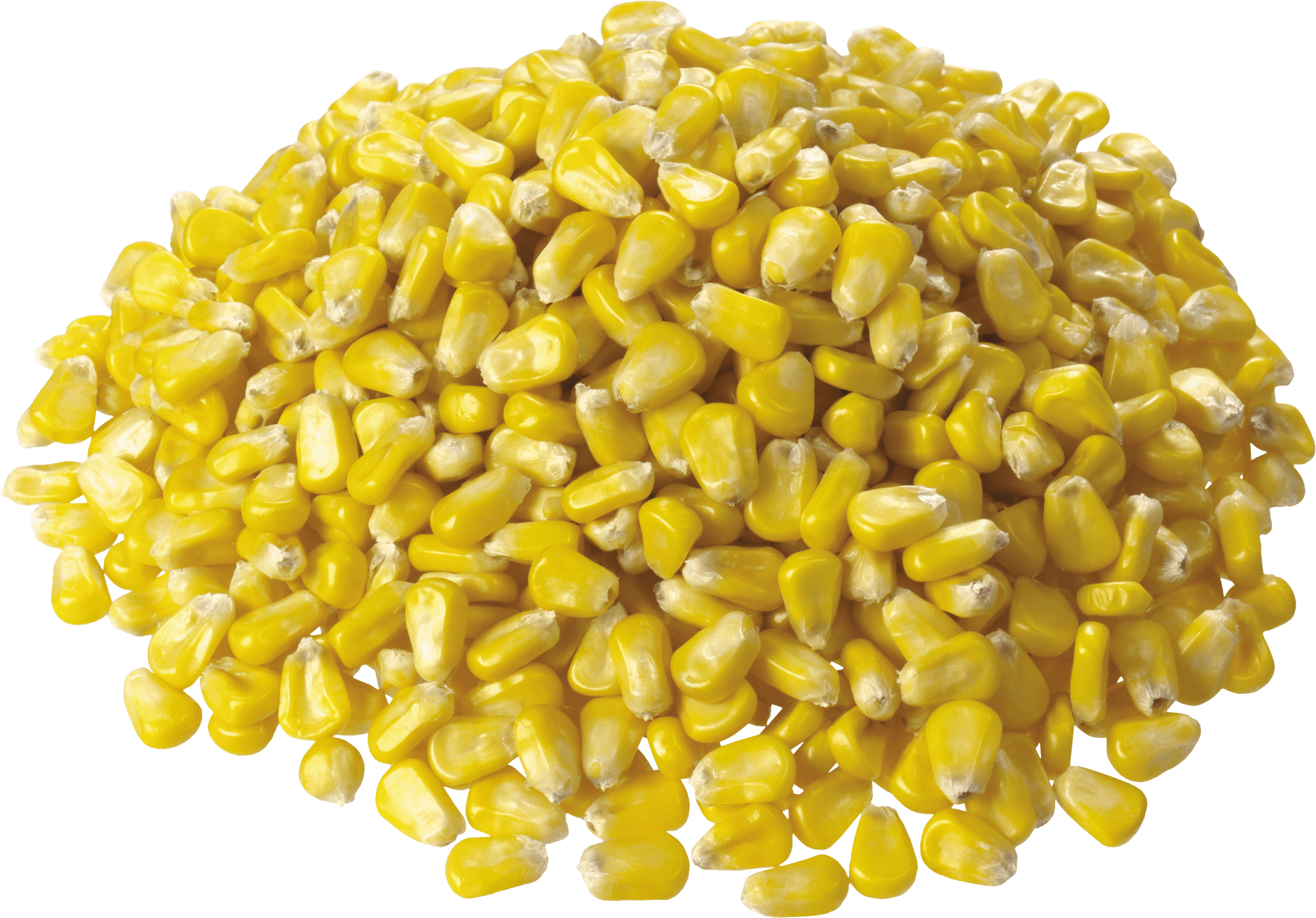 Corn HD PNG - 91286