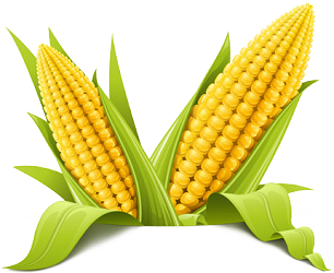 Corn PNG HD