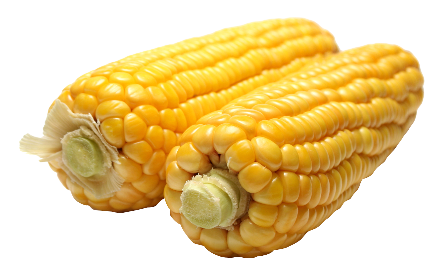 Corn PNG - 13668