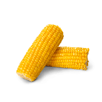 Corn PNG - 13673
