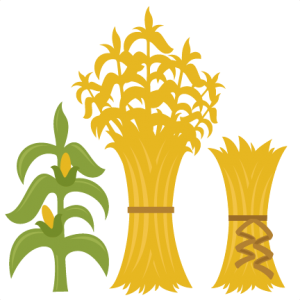 Corn Stalks SVG scrapbook cut